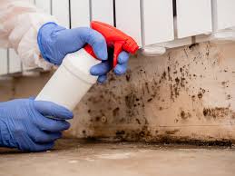 Best Mold Removal for HVAC Installations  in Glespie, IL